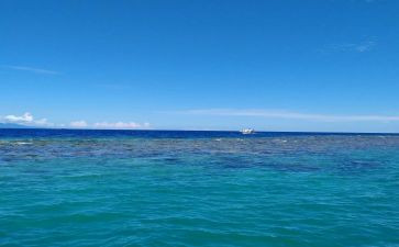 海胶公司工作总结范文优秀8篇