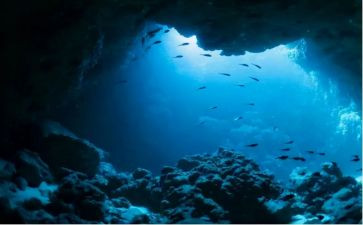 海底两万里读后感400字优质6篇