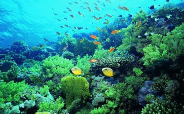 海底两万里读后感500字精选6篇