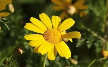 好员工好心态培训心得5篇