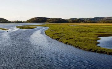 鼹鼠和月亮河读后感6篇