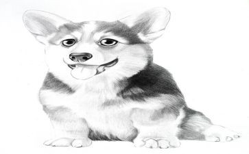 中班语言《画》教案通用8篇