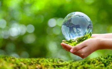 环保的活动总结通用6篇