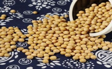 泡黄豆的优秀作文5篇