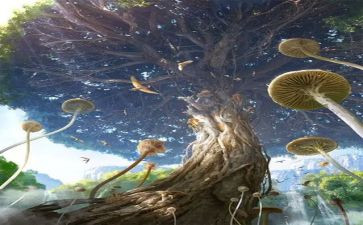 幻想类作文优秀5篇