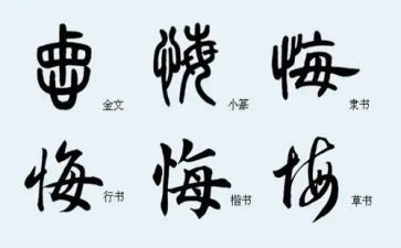 无悔的青春作文700字6篇