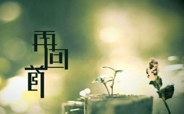 回首2024年演讲稿5篇