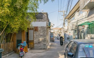 《将军胡同》读后感6篇