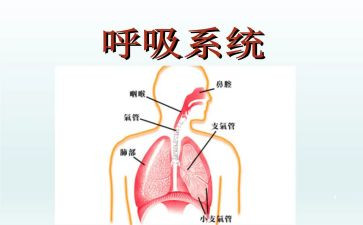 在呼吸科实习心得体会6篇