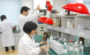 检测线工作计划6篇