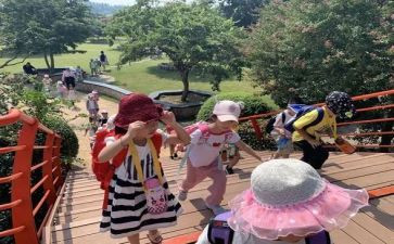 音乐郊游教案5篇