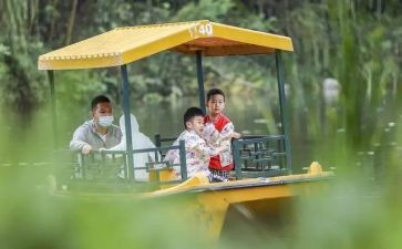 幼儿园郊游活动方案7篇
