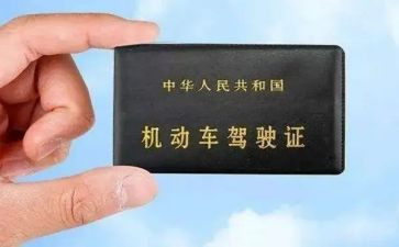 学驾照的心得体会8篇