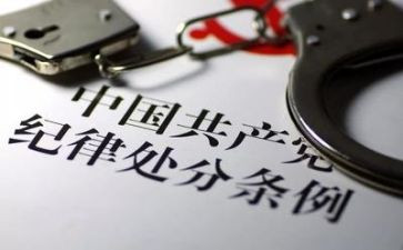在纪律部的工作计划5篇