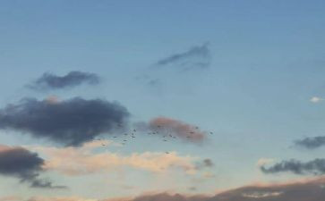 大班静电教案5篇