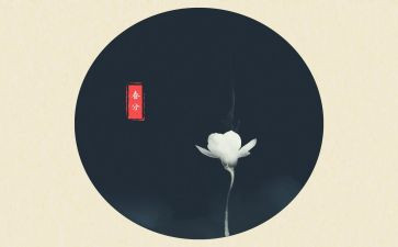 节气活动方案5篇