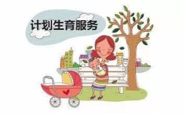 计生协会村工作计划7篇