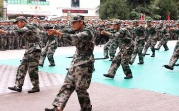 上政军训心得体会模板7篇