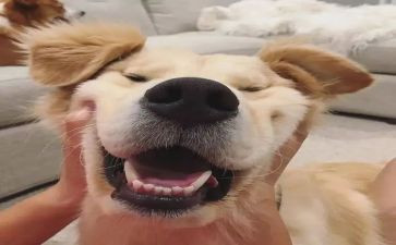 开心六一作文5篇
