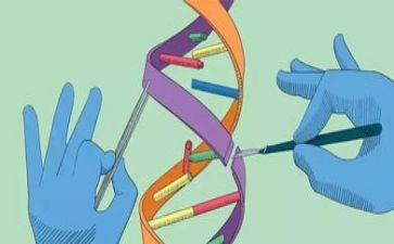 科学活动的教案7篇