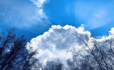 有关空气污染的调查报告7篇