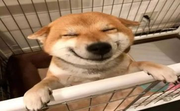 托班音乐教案7篇