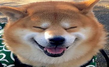 成长中的快乐作文600字6篇