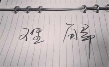 理解作文600字模板8篇