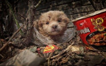 流浪地球二观后感通用6篇