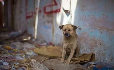 流浪地球二观后感最新8篇