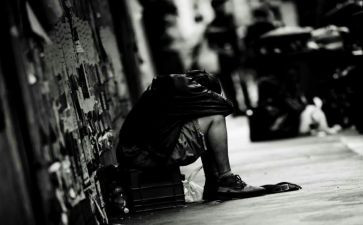 看流浪狗的心得精选6篇