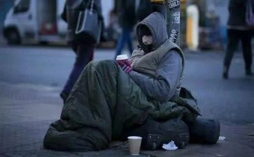 流浪狗的作文推荐8篇