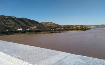 柳林风声的阅读心得7篇