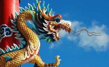 龙调查报告模板优质8篇