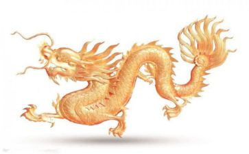 划龙舟的心得体会6篇