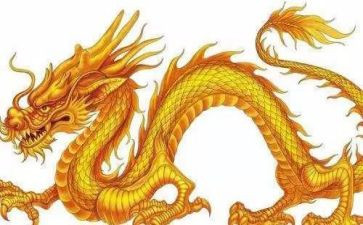 龙调查报告模板8篇