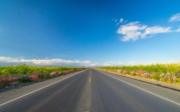 交通道路心得体会通用5篇