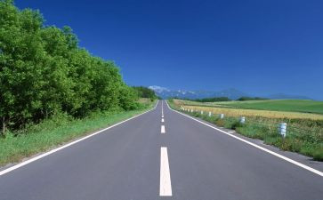 中班语言问路教案5篇