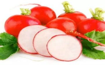 小班体育萝卜蹲教案5篇