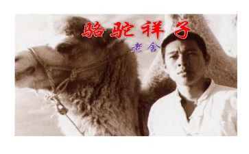骆驼湾心得体会8篇