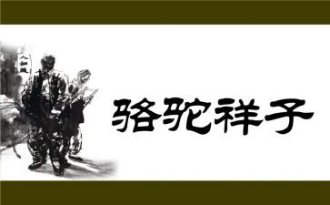 跳骆驼教案最新5篇