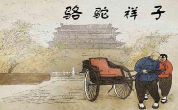 跳骆驼教案参考7篇
