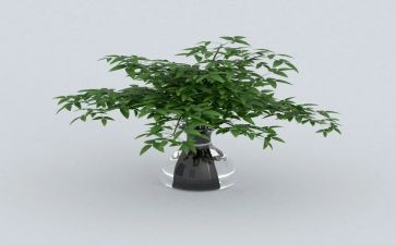 绿化施工合同模板5篇