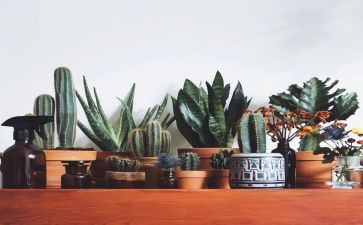 绿化土供应合同5篇