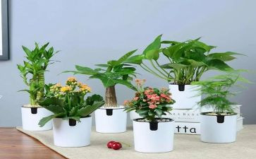 园林绿化施工合同参考6篇
