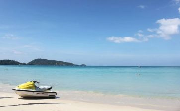 旅行鸽作文优秀5篇