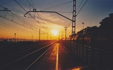 旅行鸽作文最新6篇