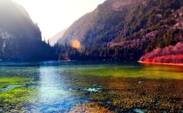 旅游日活动方案模板7篇