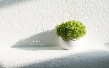 慢性病工作计划2022精选7篇