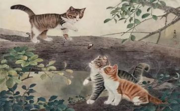 读老鼠和猫的读后感通用5篇